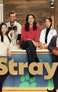 Image result for Strays Cast Gus