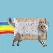 Image result for Real Nyan Cat