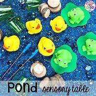 Image result for Preschool Activities On Pond Life