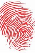 Image result for iPhone 5C Fingerprint