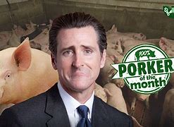 Image result for Santa Cruz California Gavin Newsom