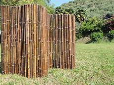 stuoie di canne stuoie bambuseto stuoie di canne stuoie bambuseto