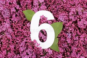Image result for Purple Number 6 Cute