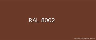 Image result for RAL 8002