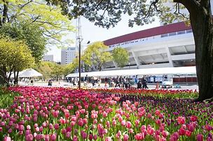 Image result for Yokohama Japan Park