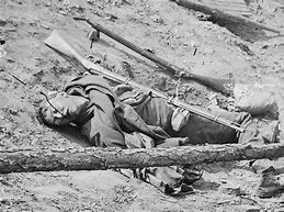 Image result for American Dead WW1