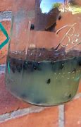 Image result for Barn Fly Traps Indoor
