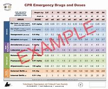 Image result for Recover CPR Drug Poster