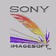 Image result for Sony Electron