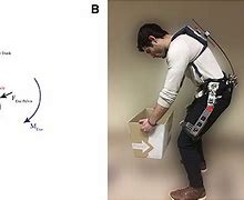Image result for Human Back Exoskeleton