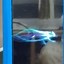 Image result for Display Case Turntable