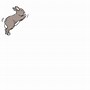 Image result for Animated Jpg Whaaaa Bunny