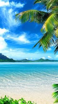 Image result for Bright Summer iPhone Wallpaper