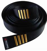 Image result for Gold Belt Karate