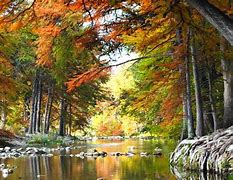 Image result for Frio River Flow