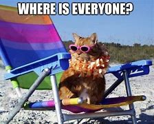 Image result for Cat Beach Damn Meme