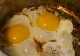Image result for Cook Egg