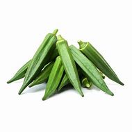 Image result for Bhindi HS Code