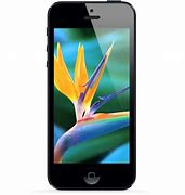 Image result for iPhone 5 Features