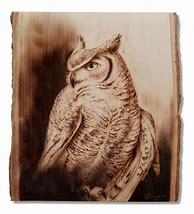 Image result for Owl Wood-Burning