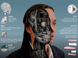 Image result for Animatronic Humanoid Robots