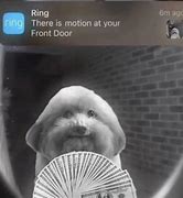 Image result for Ring Motion Front Door Funny