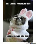 Image result for Cute Funny Bunny Memes