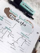Image result for Aesthetic Concept Map