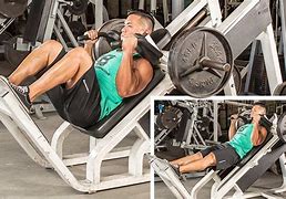 Image result for Lower Body Leg Workout