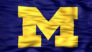 Image result for Michigan College Football Logo