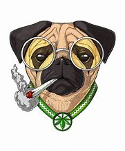 Image result for Pictures of a Dog Smking Weed Logo