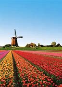 Image result for Holland