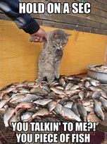 Image result for Polution Catfish Meme