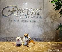 Image result for Pet Friendly Hotels Allentown PA