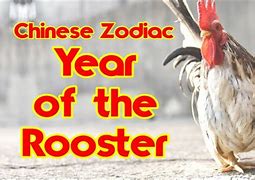 Image result for Rooster Chinese Astrology 1993