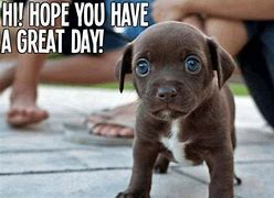 Image result for Have a Great Day Dog Meme