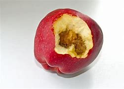 Image result for Rotten Carmel Apple