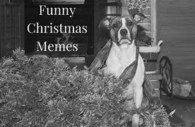 Image result for Christmas Meme Background