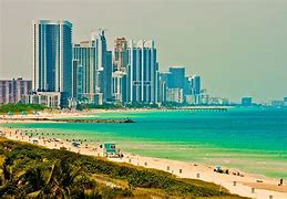 Image result for Feces Miami beach swimming