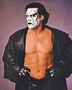 Image result for Sting Wrestler Costume