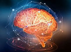 Image result for Holographic Universe Brain