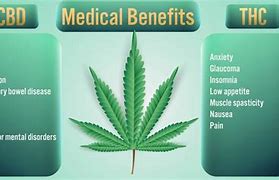 Image result for Benefits of THC