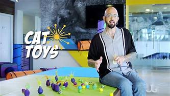 Image result for Jackson Galaxy Cat Toys