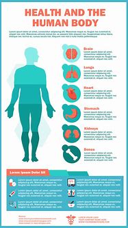 Image result for Infographics for Health