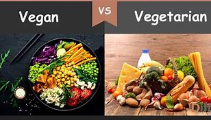 Image result for Vegetarian vs Non-Vegetarian