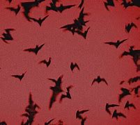 Image result for Red Bat Aesthetic