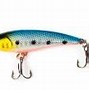 Image result for Saltwater Fishing Baits