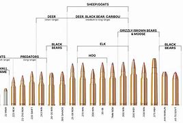 Image result for Rifle Cartridge Ballistics Charts