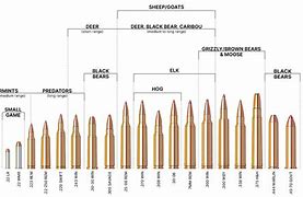 Image result for 30 Caliber Ballistics Chart