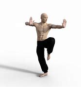 Image result for Kung Fu Pics